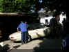 DSCN2730.JPG (1471197 byte)